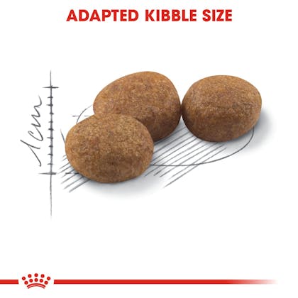 Royal canin Sterilised 400g -  - PetsOffice