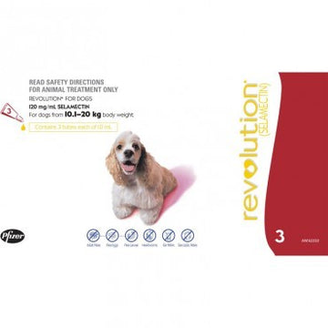 Revolution for dogs 10kg-20kg (1 Dose)