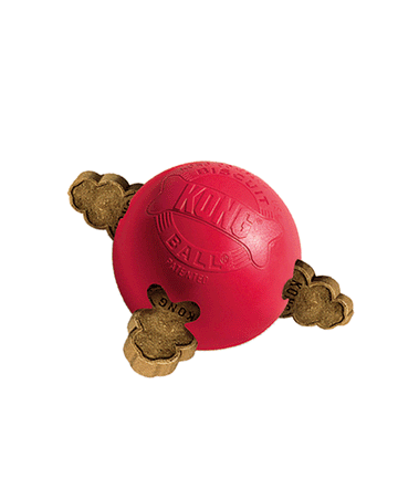 79565 NOBBY KONG Biscuit Ball S