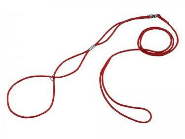 73260 NOBBY Show leash red l: 120 cm; w: 3 mm - PetsOffice