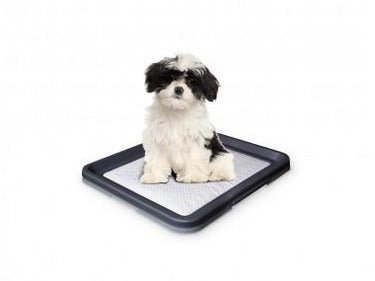 67150 NOBBY Doggy Trainer Including 1 Pad S - 48 x 41 x 3,5 cm - PetsOffice