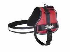 80583-01 NOBBY Harness "SEGURO" red waist: 72-90 cm; W: 40 mm - PetsOffice