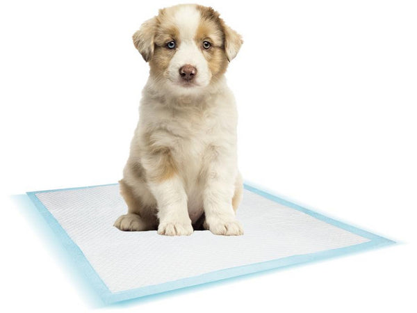 57157 NOBBY Doggy Trainer Pads 50 pcs L - 60 x 60 cm - PetsOffice