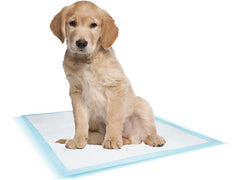 57158 NOBBY Doggy Trainer Pads 10 pcs XL - 90 x 60 cm - PetsOffice