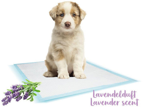 57160 NOBBY Doggy Trainer Pads with Lavender Scent 10 pcs L - 60 x 60 cm - PetsOffice
