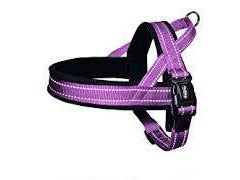 74842-38 NOBBY NORWEGIAN Harness purple L: L: 60-76 cm + 46 cm; W: 25 mm - PetsOffice