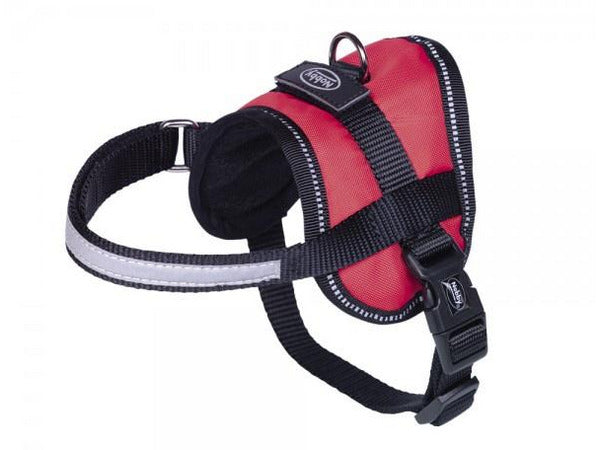 80579-01 NOBBY Harness "Seguro" Mini red waist: 31-40 cm; W: 15 mm - PetsOffice
