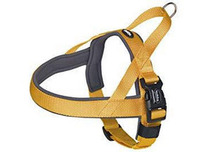 80531-04 NOBBY NORWEGIAN Harness "Classic Preno" orange/grey L: 38-50 cm + 36 cm; W: 20/25 mm - PetsOffice