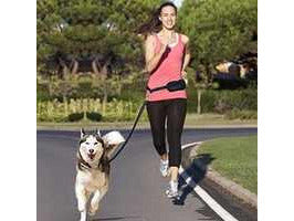 78560 NOBBY Jogging leash - PetsOffice